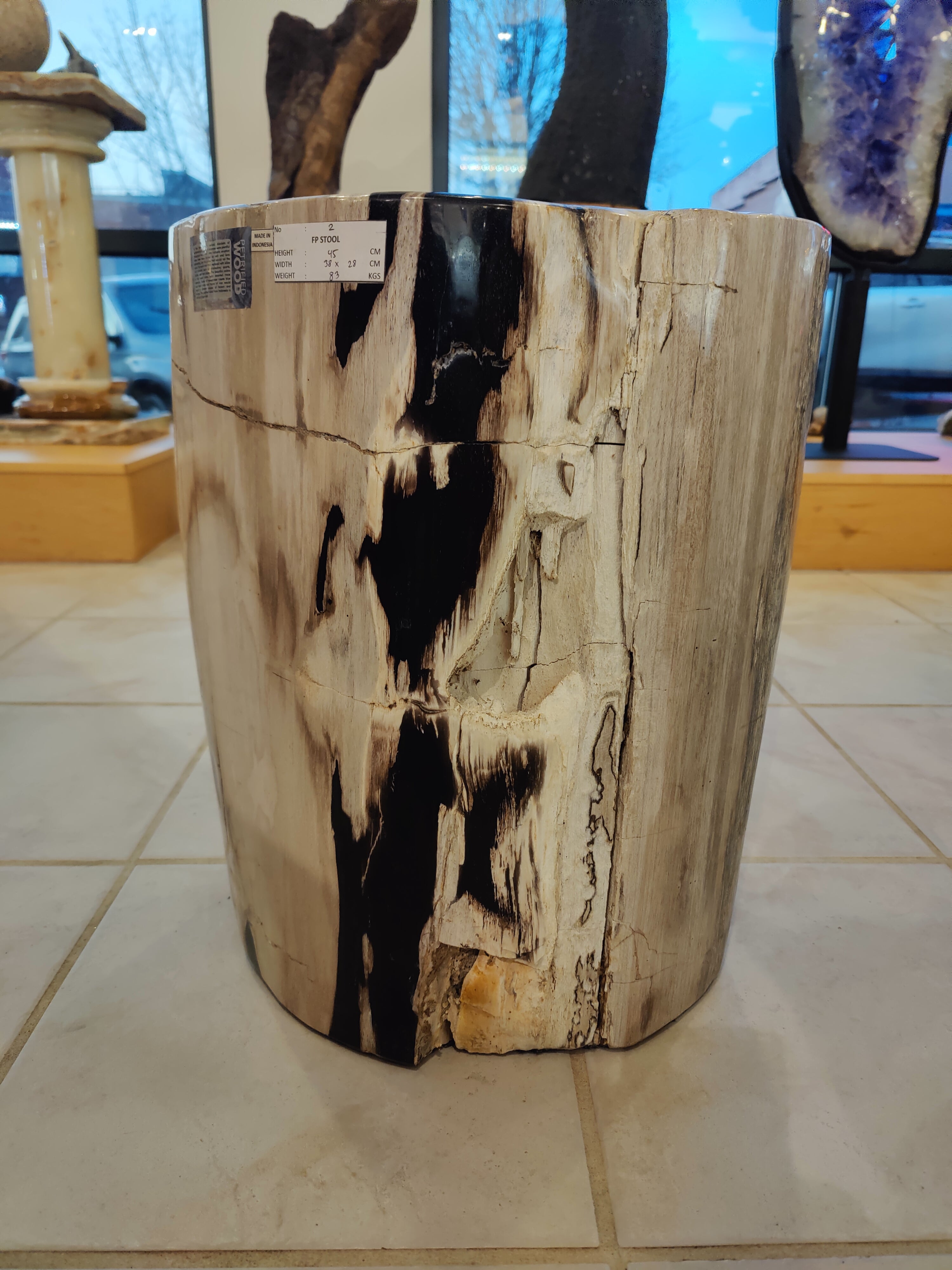 Petrified Wood Pedestal by Rare Earth Gallery - product image 19 for Resin Society