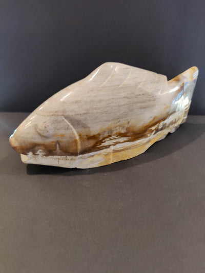 Petrified Wood Fish Sculpture