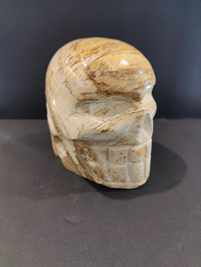 Petrified Wood Skull Sculpture