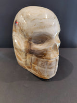 Polished petrified wood sculpture carved into a skull shape, showing smooth beige and brown striations with subtle natural grain patterns, viewed from a three-quarter angle.