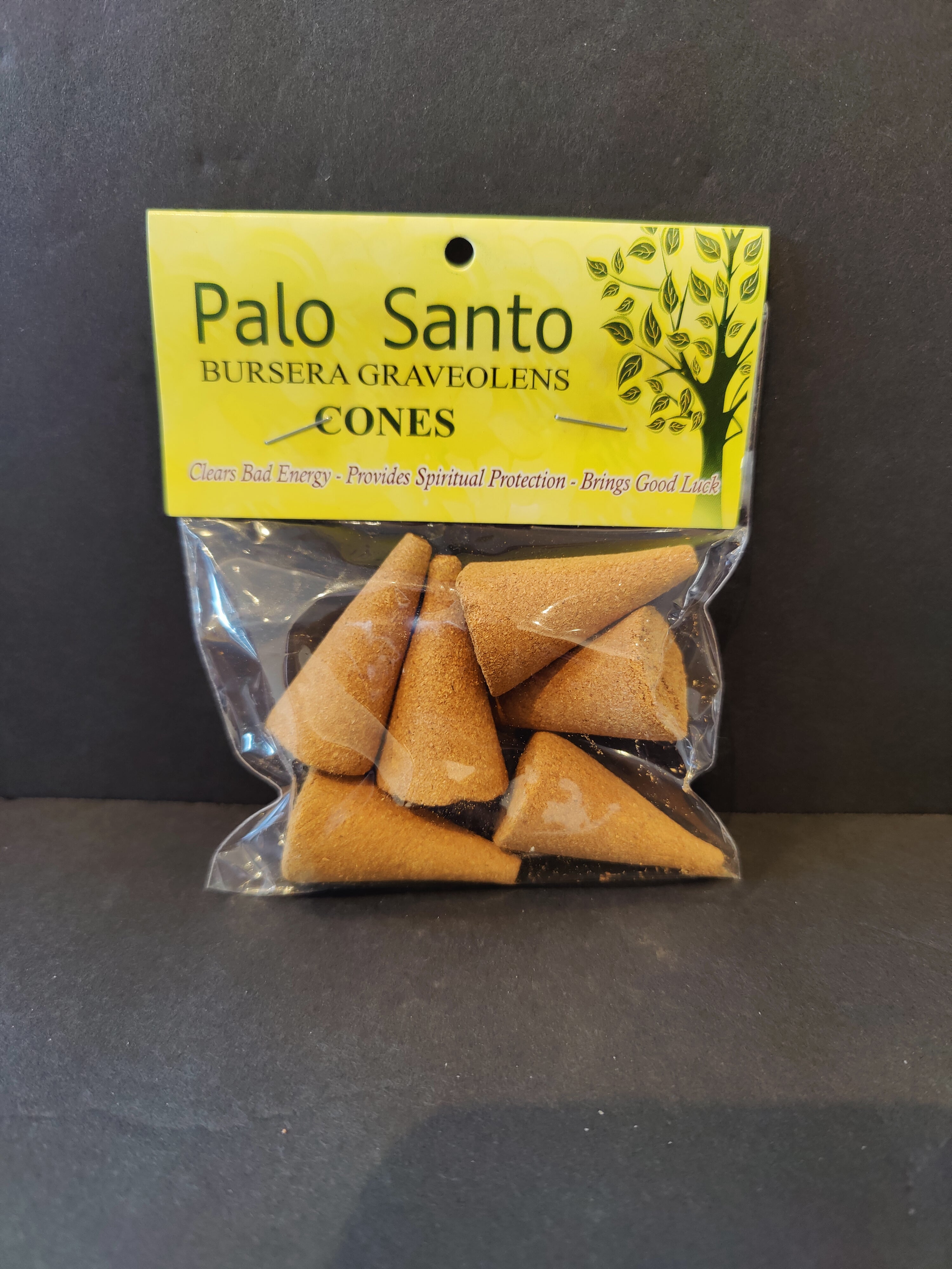 Palo Santo Cone Incense by Rare Earth Gallery - main product image for Resin Society