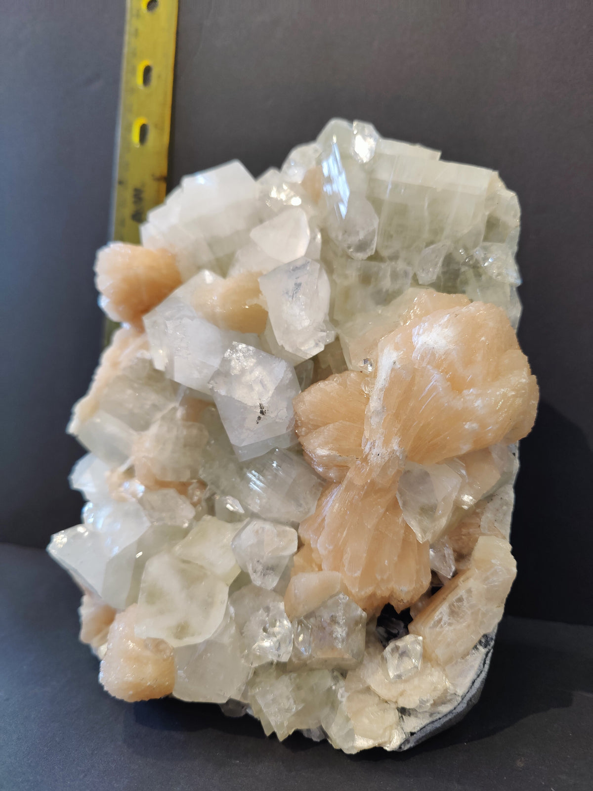 Apophyllite mineral specimen featuring translucent pale green cubic crystals interspersed with peach-colored, rounded stilbite formations against a black background with measuring tape scale.