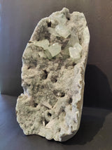 Light green apophyllite crystal cluster on a gray and beige geode base with a rough, sparkling surface, standing upright against a dark background.