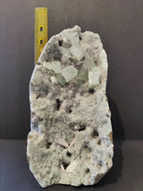 Gray and white crystalline apophyllite specimen with translucent, pale green rectangular crystals and feathery inclusions, displayed vertically next to a yellow measuring tool.