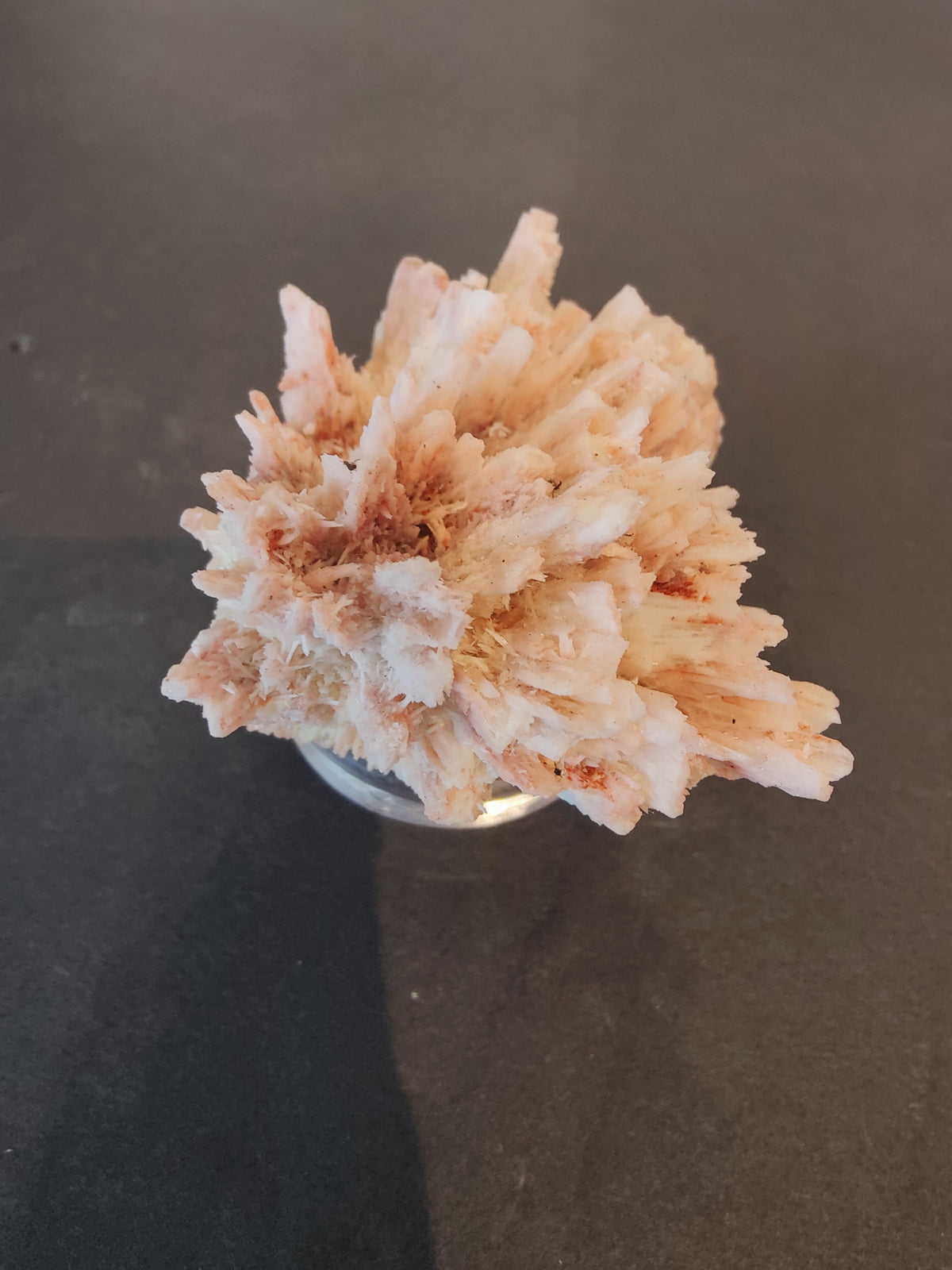 Cluster of white and pale tan Mordenite crystals with reddish-brown accents, radiating outward on a dark background.