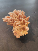 Cluster of pale pinkish-orange mordenite crystals with elongated, radiating formations on a dark flat surface.