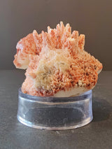 Red Mordenite with Stilbite specimen showing spiky, coral-like red and white formations on a clear round display base against a neutral background.