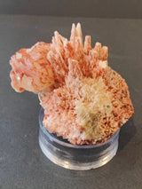 Red Mordenite specimen with beige Stilbite crystals forming delicate, spiky clusters, displayed on a clear round stand against a dark surface.