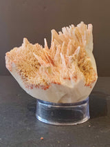 Red Mordenite mineral specimen with needle-like crystals radiating outward from a creamy white base, displayed on a clear round stand against a dark background.