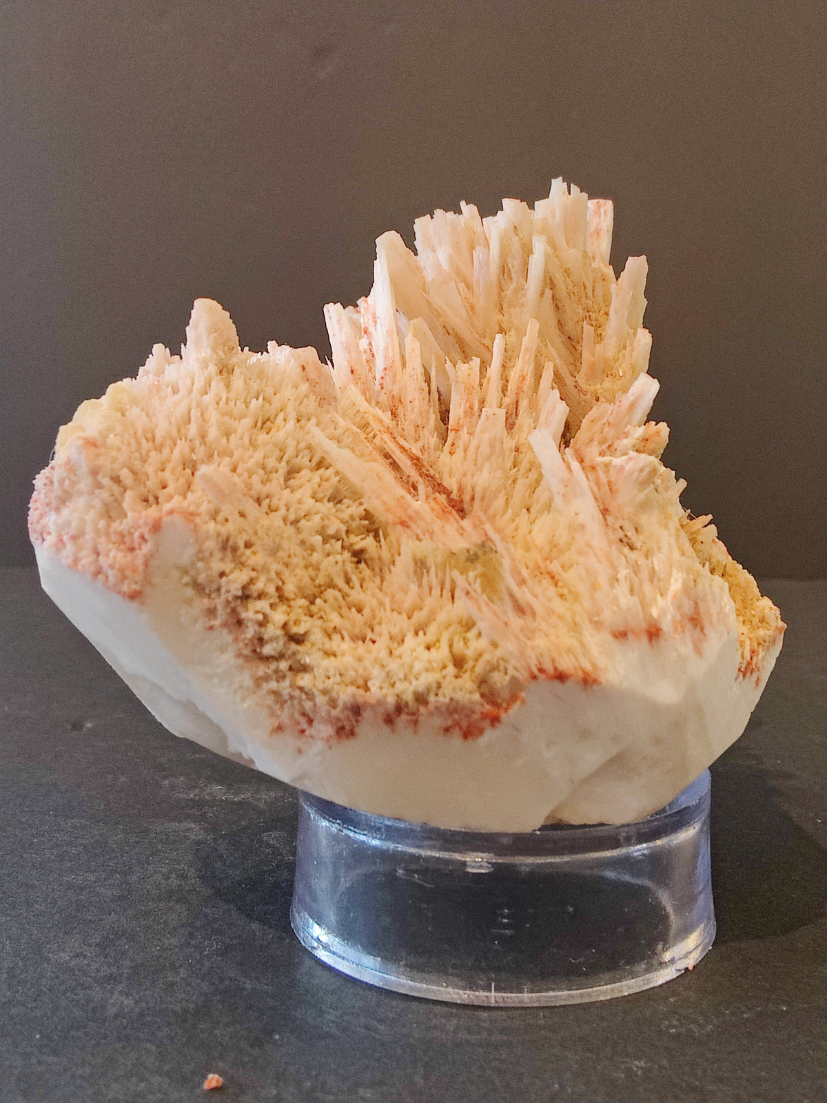 Red mordenite mineral specimen featuring cream-colored, needle-like crystal formations with subtle reddish streaks, mounted on a clear cylindrical stand.