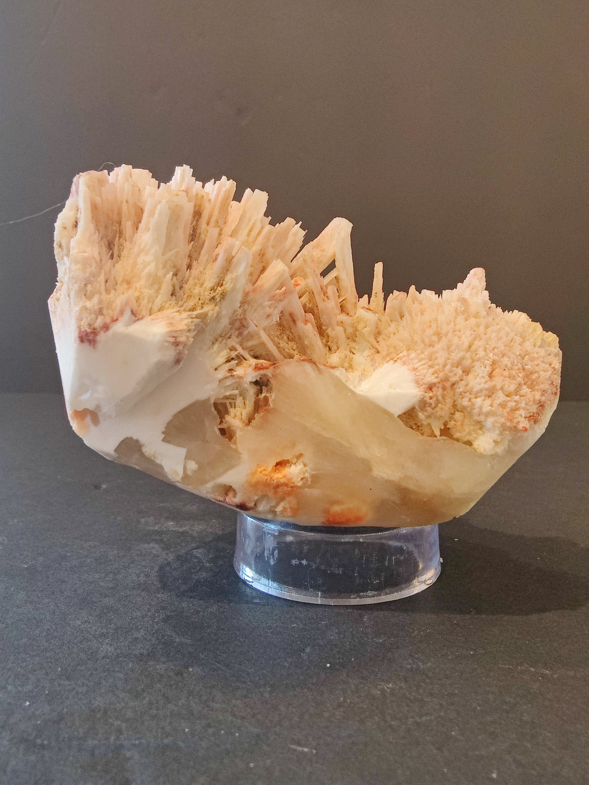 Light beige Red Mordenite mineral specimen with delicate needle-like crystal formations on a small clear stand against a dark gray background.
