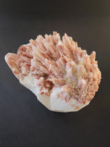 Cluster of red mordenite crystals with pale pink stilbite formations radiating outward on a white base, displayed against a dark background.