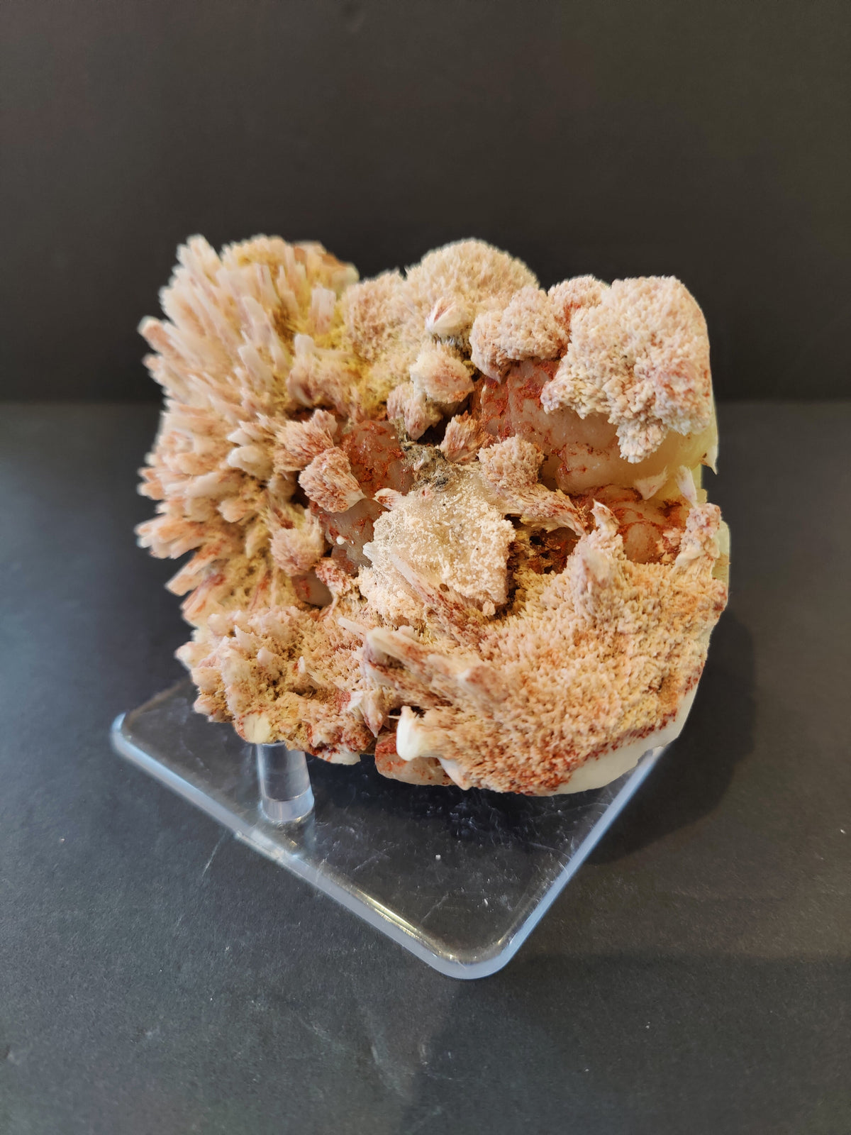 Red mordenite and beige stilbite mineral specimen with radial clusters and crystalline formations on a clear acrylic stand against a dark background.