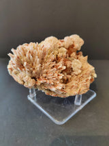 Clustered red and beige needle-like crystals of red mordenite with stilbite on a clear acrylic stand against a dark background, showcasing intricate, spiky formations.
