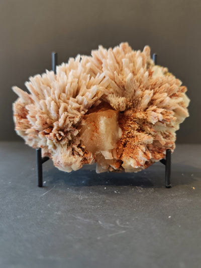 Red Mordenite with Stilbite mineral specimen on matrix from Nashik, India