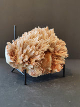 Cluster of beige stilbite crystals radiating from a central base with reddish mordenite accents, displayed on a black metal stand against a neutral background.