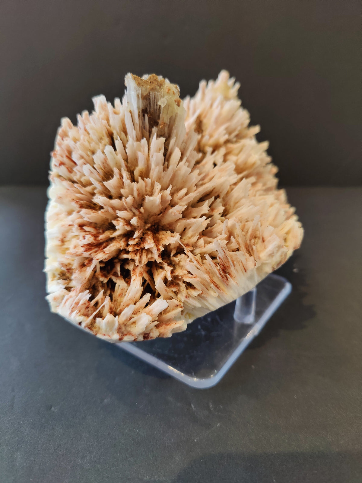Cluster of pale beige, needle-like Red Mordenite crystals with subtle reddish accents, displayed upright on a clear acrylic stand against a dark background.