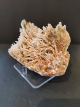 Cluster of pale pink to cream needle-like crystals forming a radial pattern on a transparent display stand against a black background.