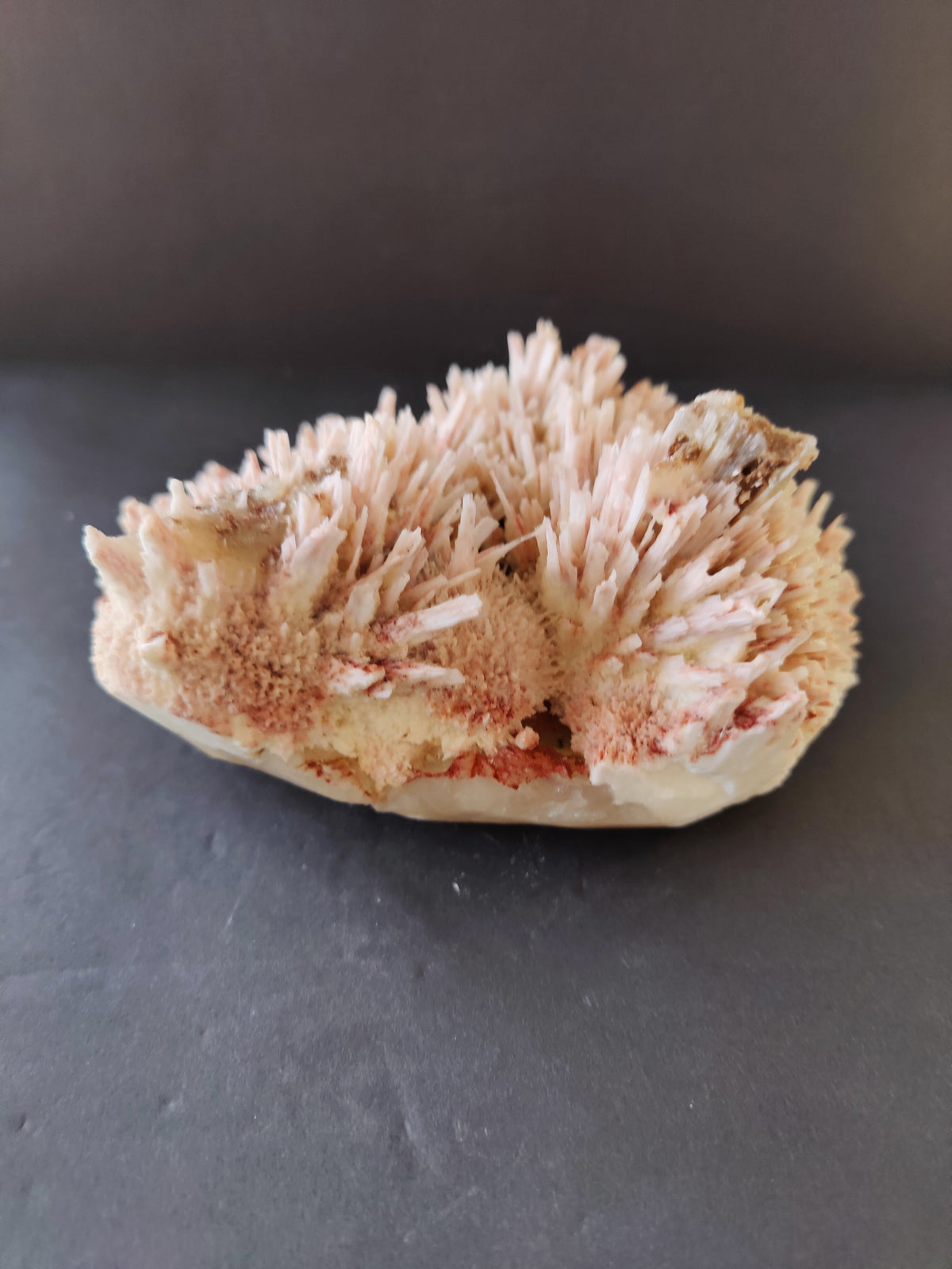 Chunky red mordenite with delicate pale pink stilbite crystals growing outward, displayed on a dark neutral surface against a muted background.