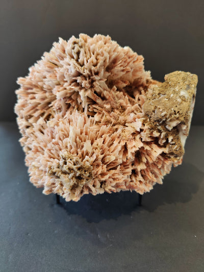 Red Mordenite with Stilbite mineral specimen on matrix, showing textured red crystals alongside white Stilbite formations