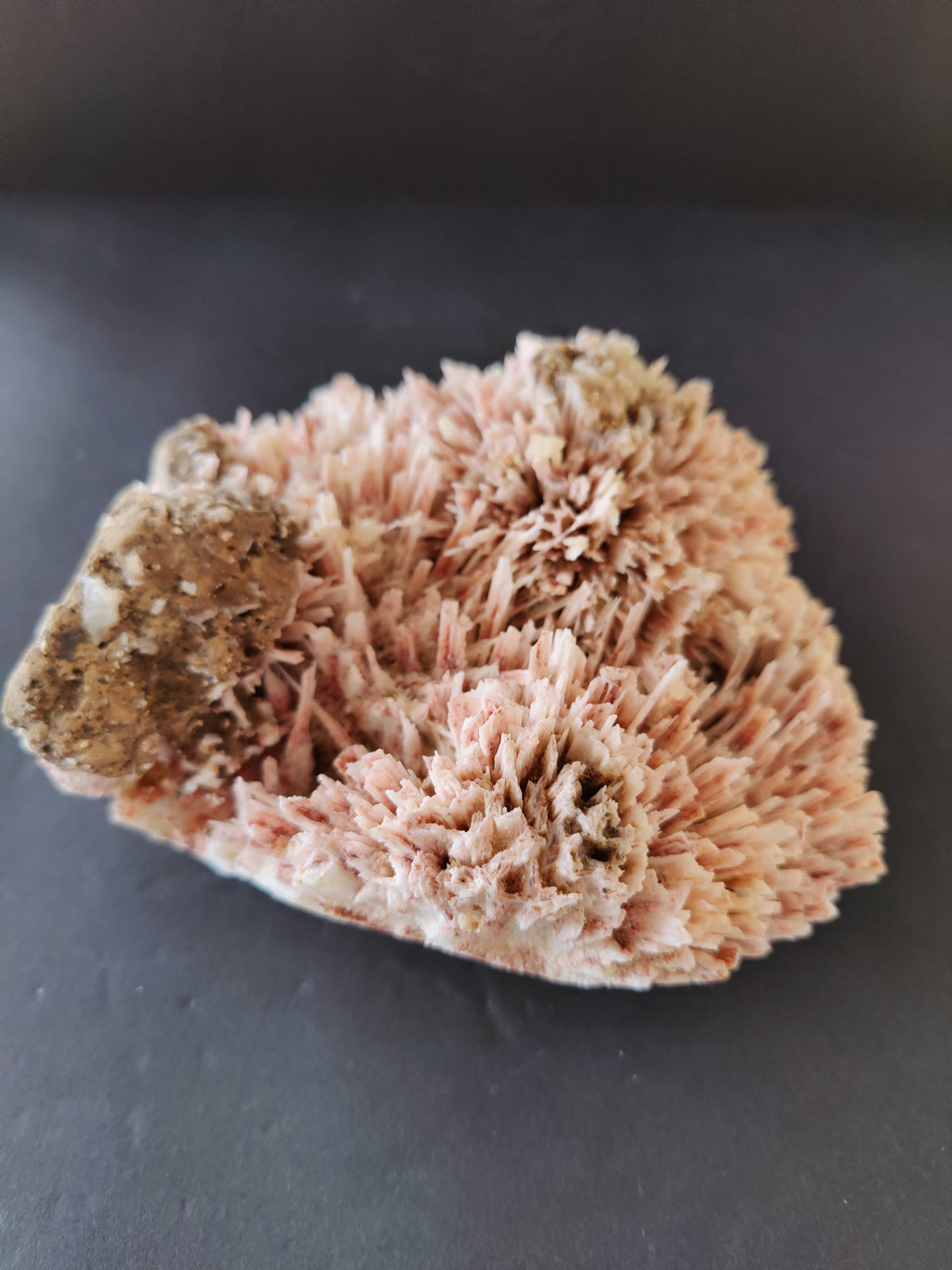 Cluster of pinkish-red needle-like Mordenite crystals with beige Stilbite formations on a dark background, showing intricate radial patterns.