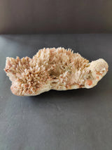 Cluster of pale peach-colored stilbite crystals with spiky, radiating formations on a flat base, displayed on a dark surface beneath soft light.
