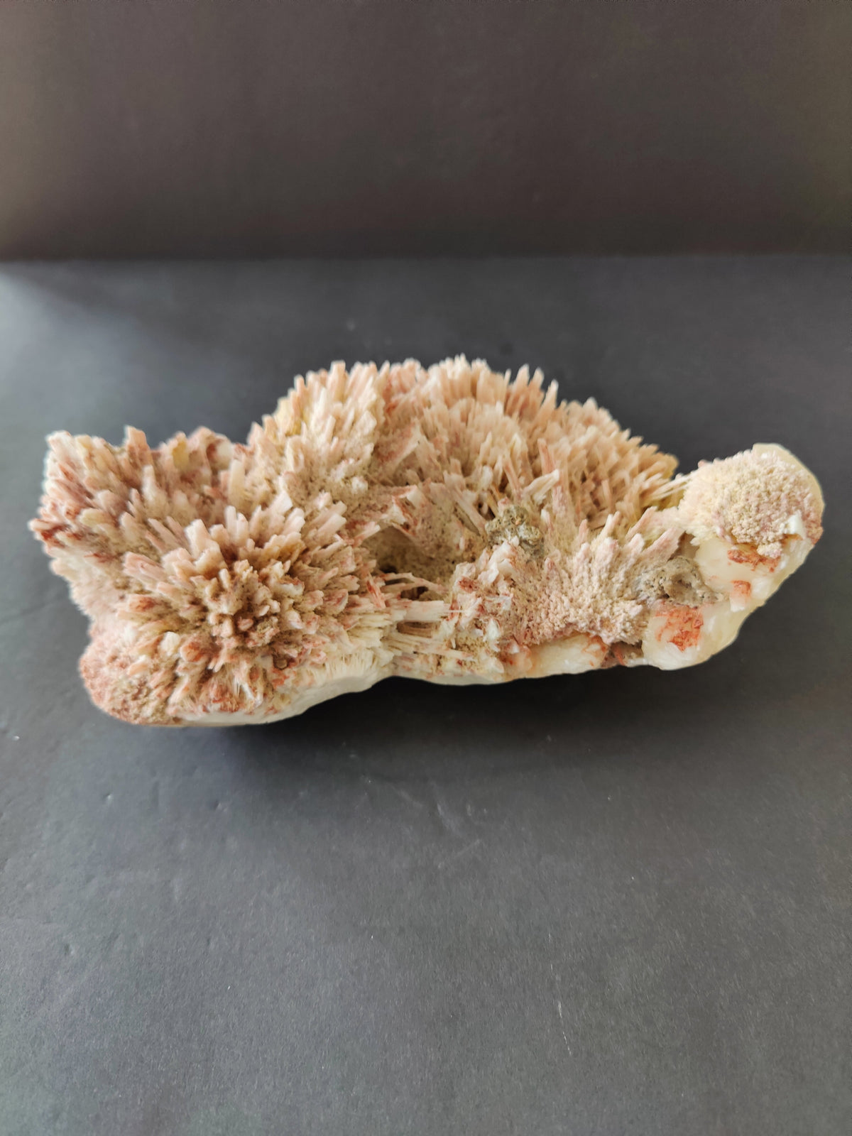 Cluster of pale peach-colored stilbite crystals with spiky, radiating formations on a flat base, displayed on a dark surface beneath soft light.