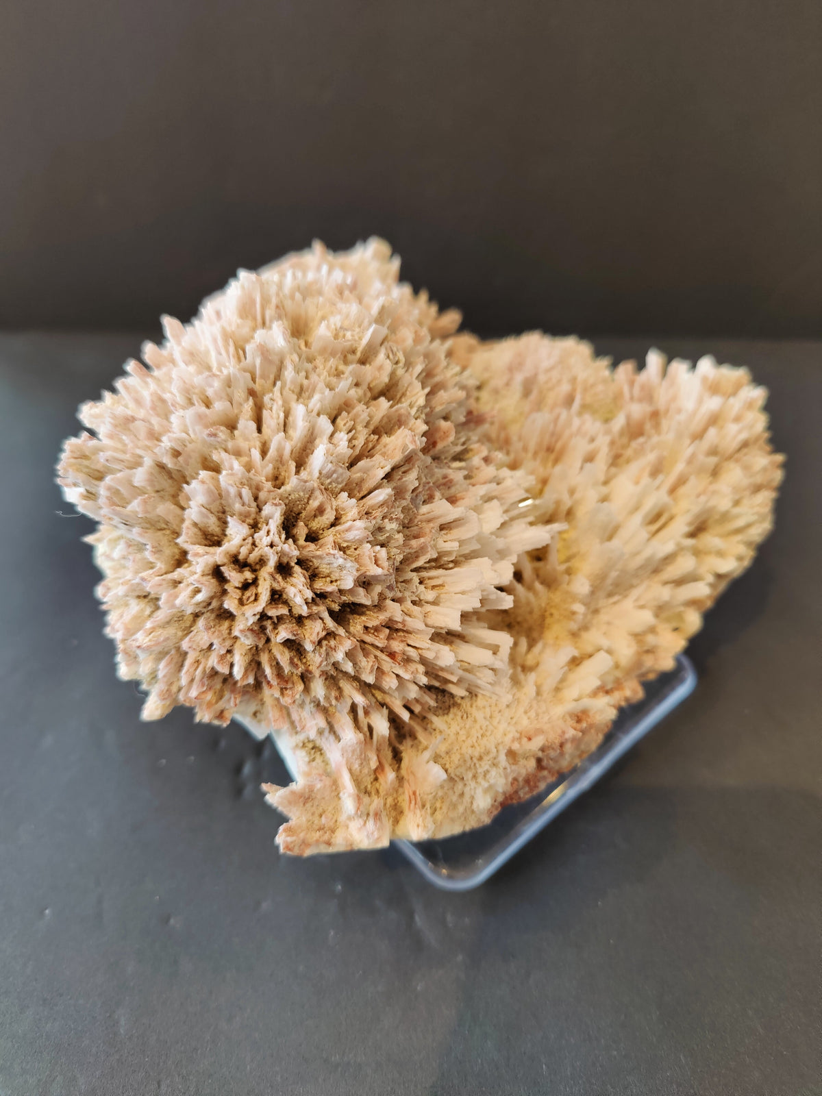 Clustered beige and light brown stilbite crystals forming radiating, spiky structures on a mineral specimen with a rough base, against a dark background.