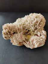 Cluster of cream and pale pink needle-like mineral crystals forming rounded, radiating groups on a dark background.