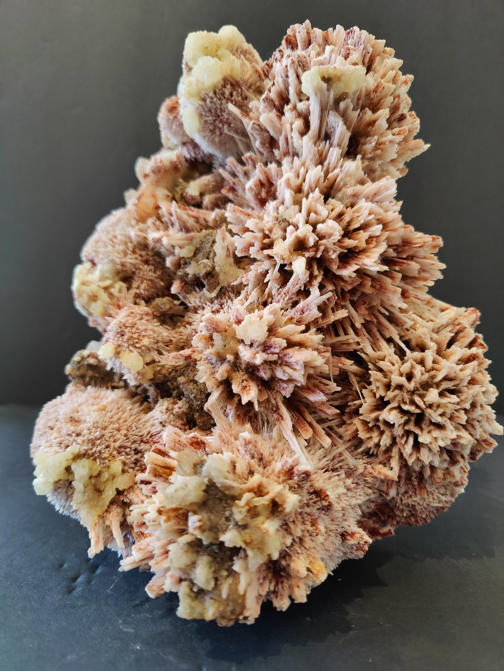 Red Mordenite with Stilbite mineral specimen showing deep red and cream hues on matrix
