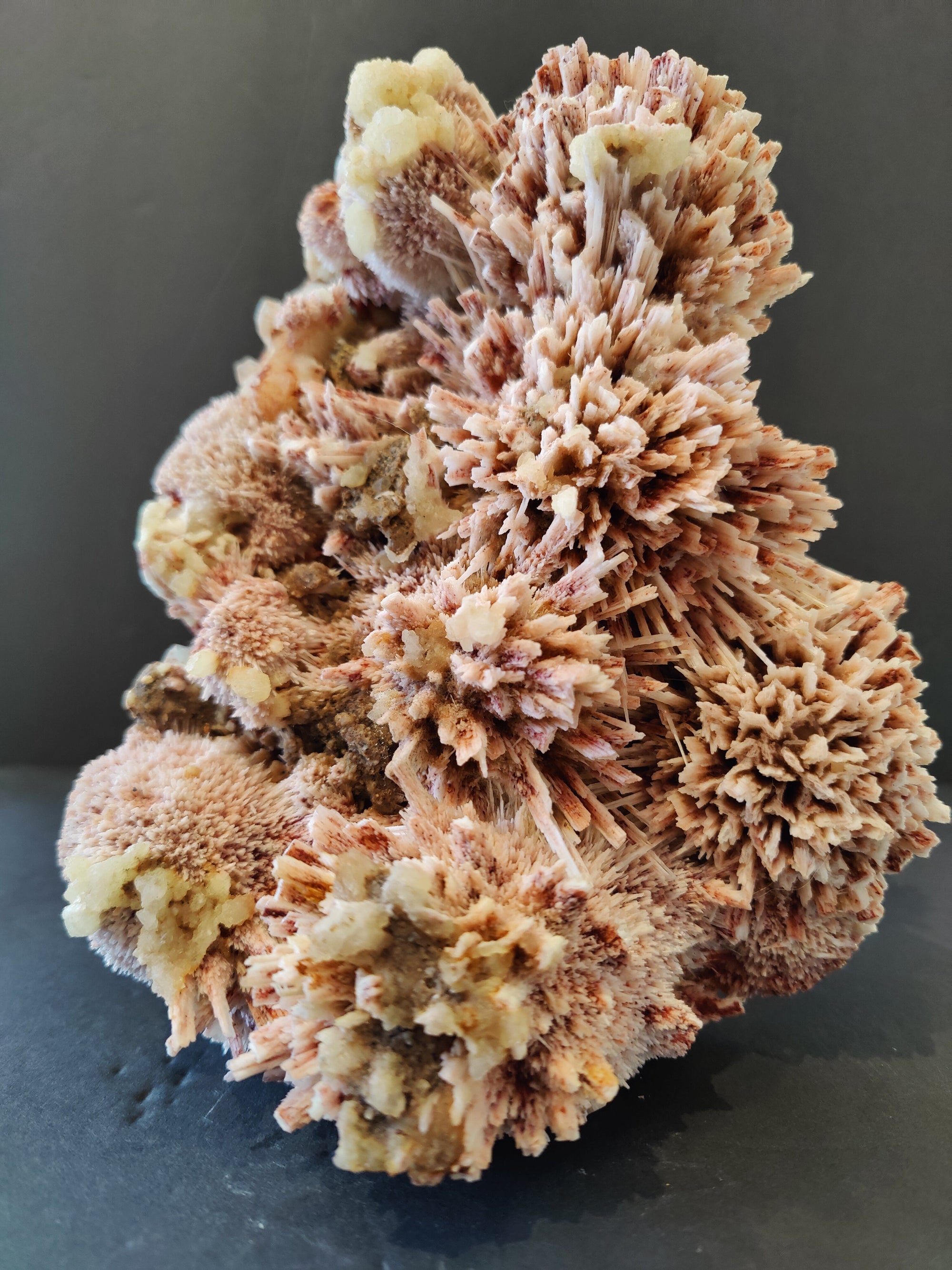 Red Mordenite with Stilbite mineral specimen showing deep red and cream hues on matrix