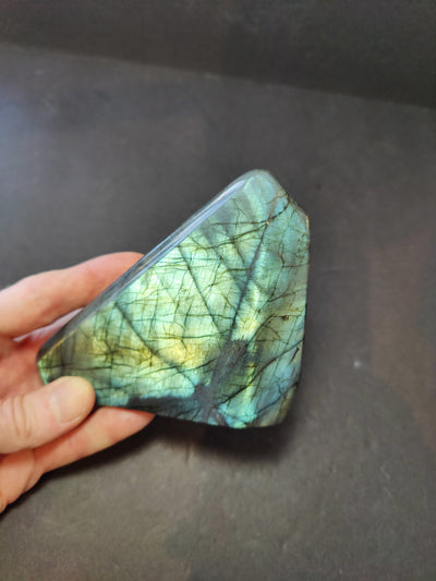 Polished Labradorite Free Form Sculpture
