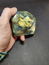 Hand holding a polished labradorite free form sculpture displaying iridescent blue, gold, and green flashes with natural black veining on a dark background.