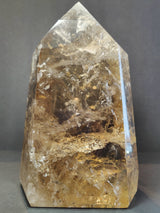 Polished natural citrine point with a translucent golden-brown hue and internal crystal inclusions, standing upright on a dark surface against a gray background.