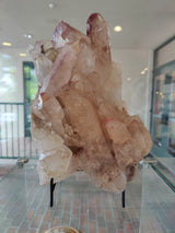 Large lithium quartz cluster with translucent crystals showing pinkish and brownish hues, displayed upright on black metal stand inside a glass case.