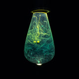 EP Light Mind Decorative Resin LED Bulb with unique resin design and wooden base options