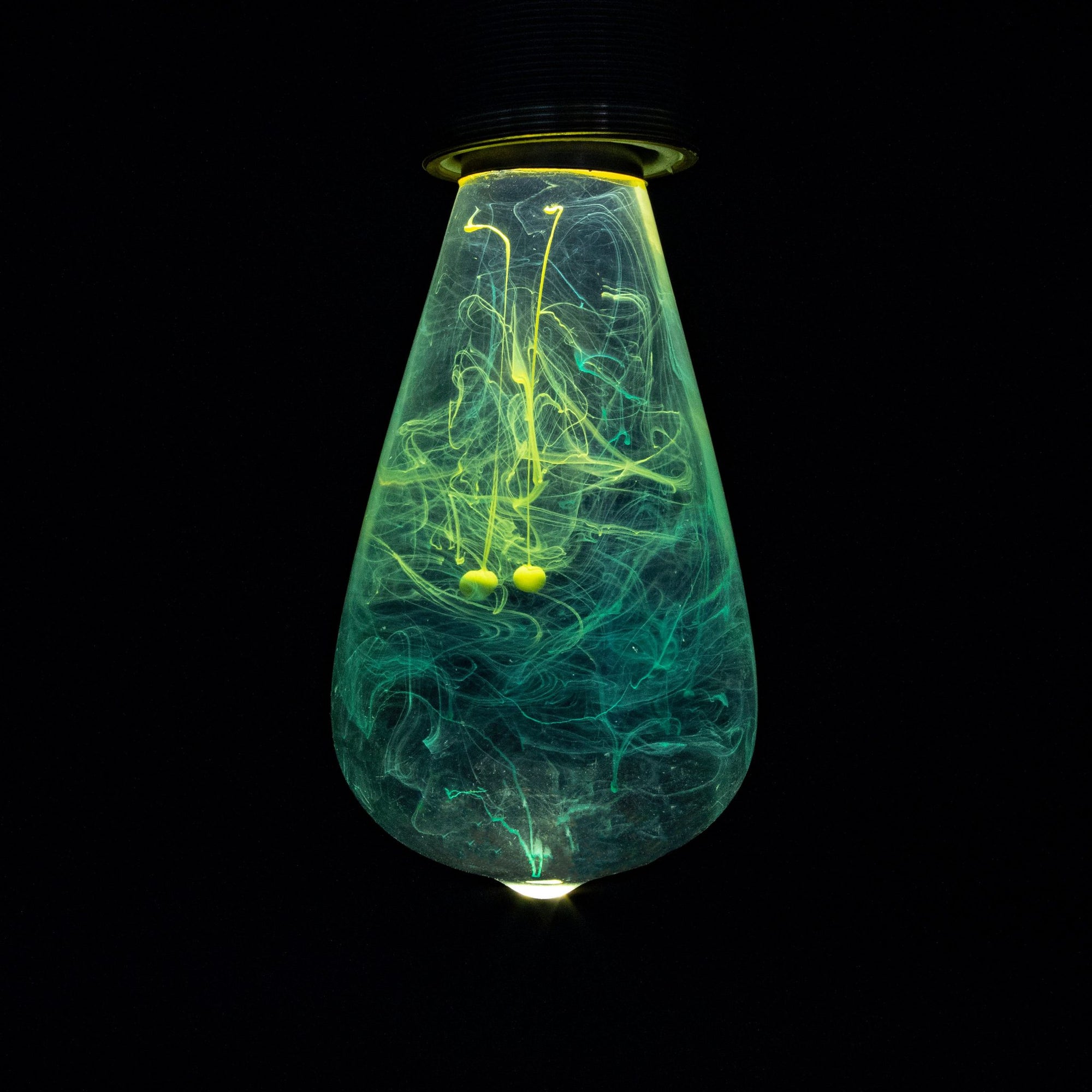 EP Light Mind Decorative Resin LED Bulb with unique resin design and wooden base options