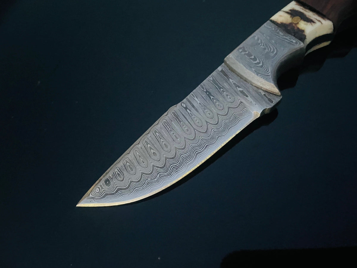 Close-up of a Damascus steel fixed blade knife with intricate wave patterns and a handle combining dark walnut wood and cream-colored stag horn.