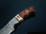 Damascus steel fixed blade knife with intricate dark wave patterns, featuring a walnut and stag horn handle with a red and gold circular inlay and brass pins.