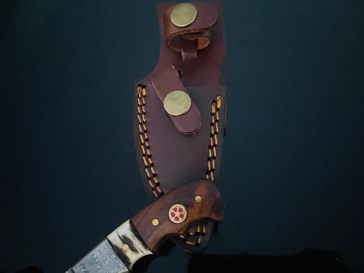 Damascus steel fixed blade knife with a polished walnut and stag horn handle, featuring a brass pin with red accents, alongside a dark brown leather sheath with brass snap buttons.