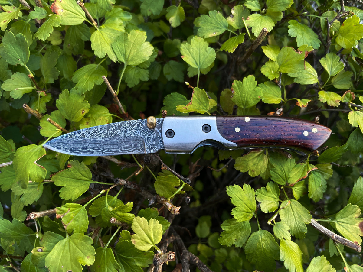 TF-004 folding knife showing Damascus steel blade and black burl walnut handle on a flat surface
