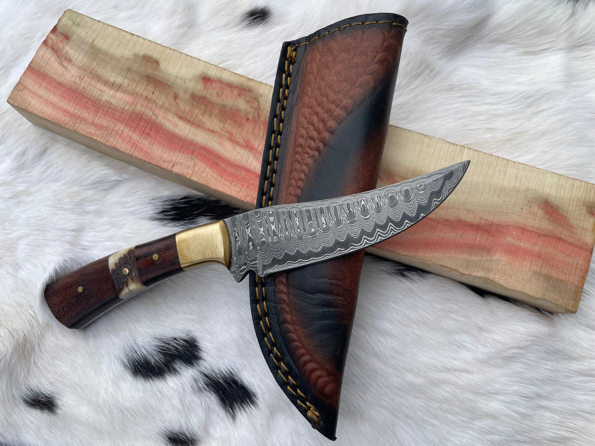 CUSTOM HANDMADE FORGED DAMASCUS STEEL HUNTING KNIFE with black walnut and stag horn handle scales