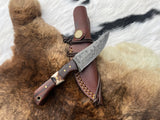 Titan TK-060 Damascus steel skinner knife with rosewood and stag handle laid flat on a neutral surface