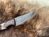 Titan TK-060 Skinner knife with patterned Damascus steel blade and handle combining rich rosewood and textured stag antler, lying on soft brown fur.