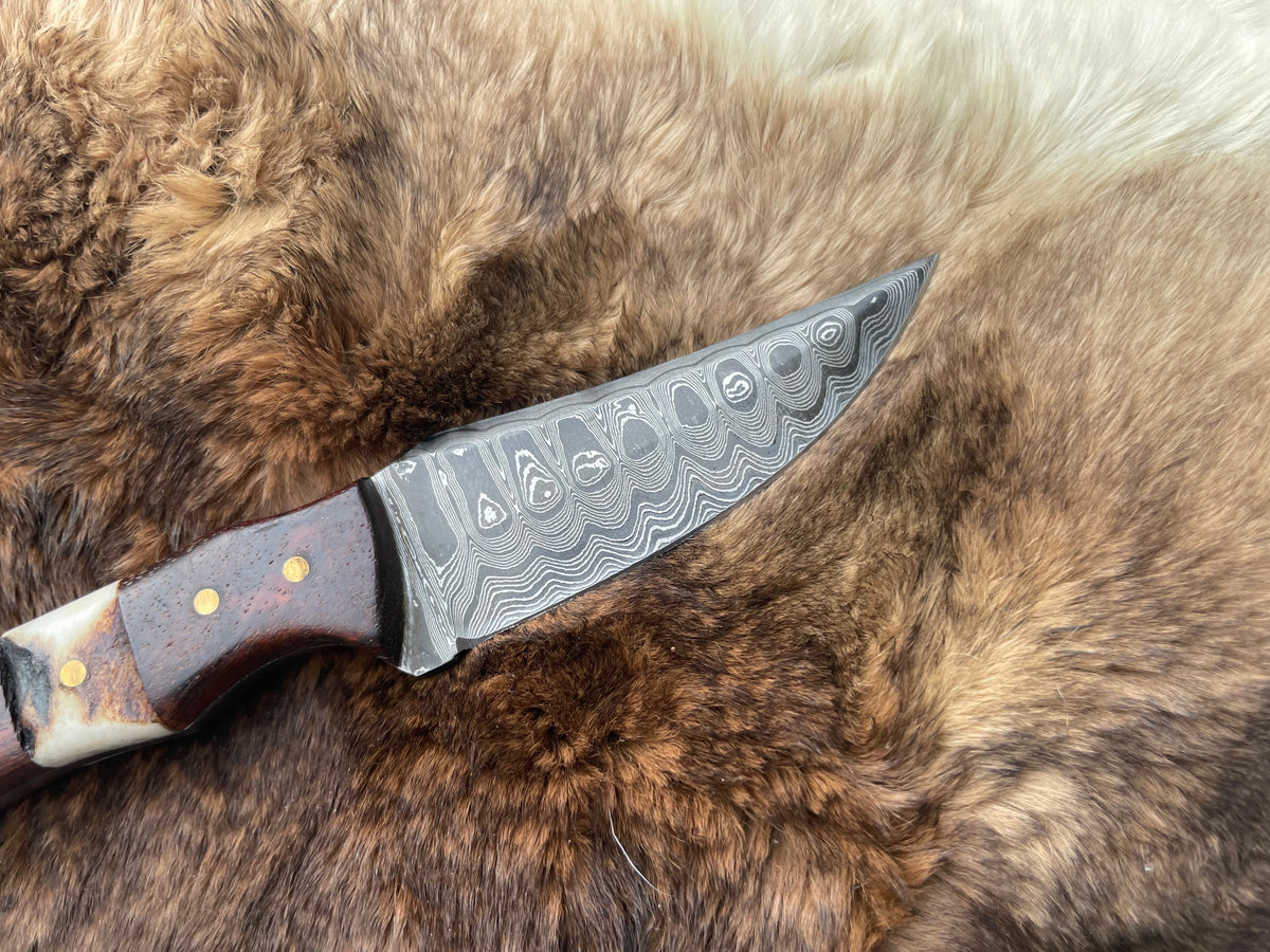 Titan TK-060 Skinner knife with patterned Damascus steel blade and handle combining rich rosewood and textured stag antler, lying on soft brown fur.