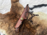 Titan TK-060 Damascus steel skinner knife with rosewood and stag handle partially sheathed in brown leather with braided lanyard, resting on a fur background.