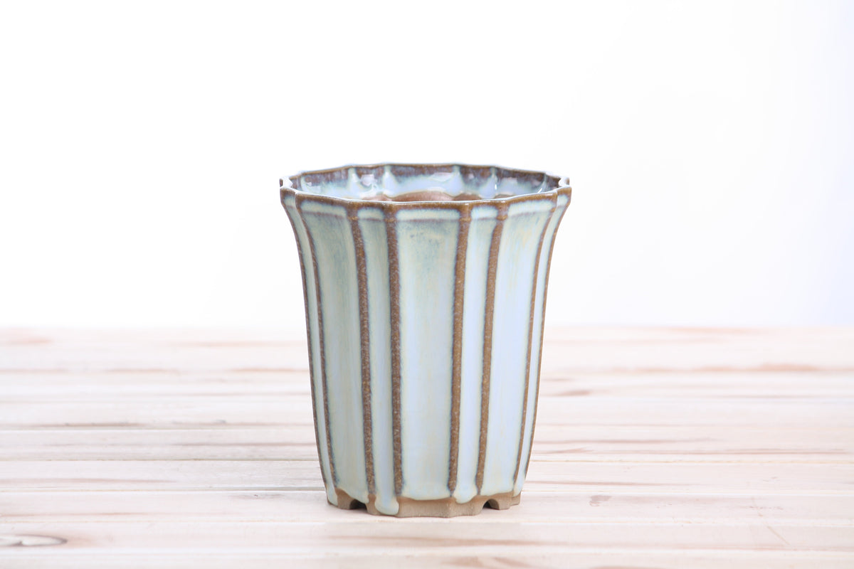 Glacier glazed ceramic bonsai pot with vertical ridges and scalloped rim in soft blue-gray tones on light wood surface.