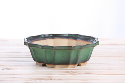 Willow Bonsai Ceramics Flower Design Bonsai Pot 8 Inch – Elegant by Willow Bonsai Ceramics - product image 3 for Resin Society
