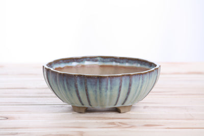 Willow Bonsai Ceramics Lily Bonsai Pot 7 Inch – Glacier