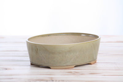 Willow Bonsai Ceramics Oval A Bonsai Pot 8 Inch – Straight-Sided Oval Planter